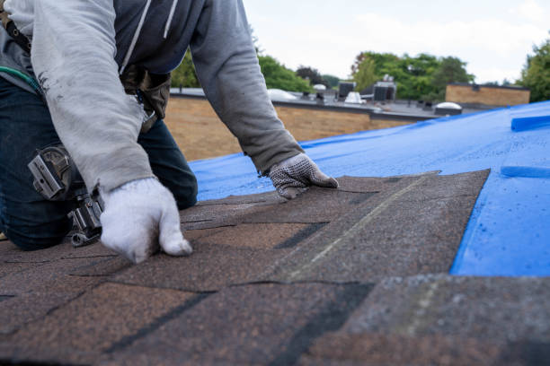 Roof Waterproofing Services in Los Osos, CA