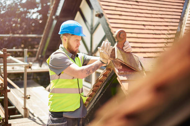 Best Metal Roofing Contractor  in Los Osos, CA